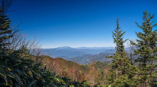 這份產(chǎn)品質(zhì)量國抽公告,揭開家電價格戰(zhàn)的惡果和真相