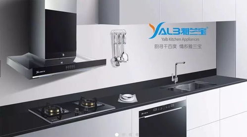 廚衛(wèi)電器必須要講究不要將就 否則后悔一輩子...